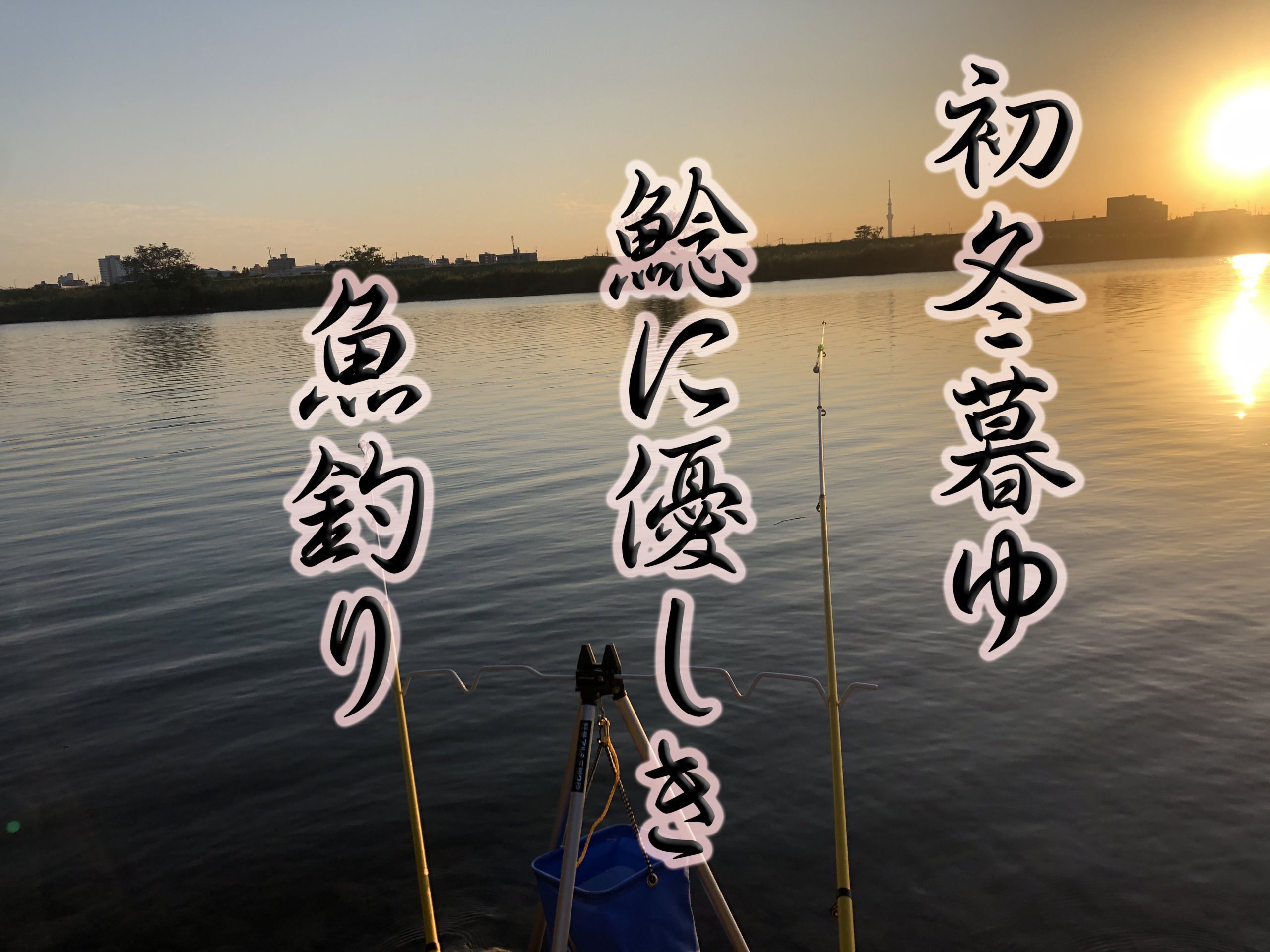 江戸川でナマズ釣りをして来ました Gero Matsuの日記