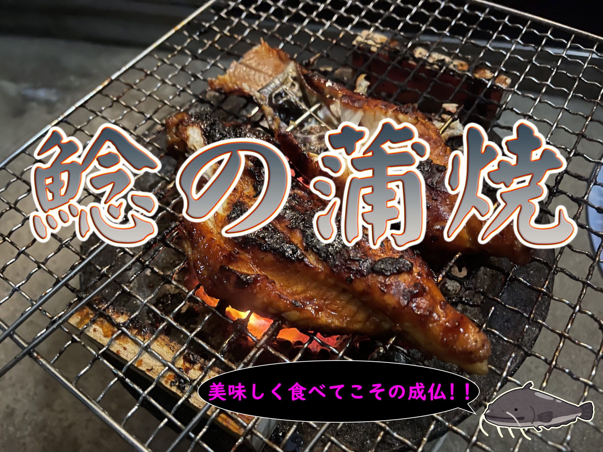 ナマズの蒲焼きを作ってみた Gero Matsuの日記